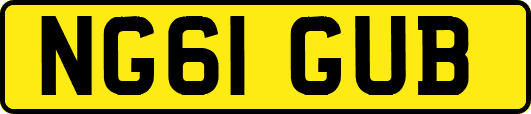 NG61GUB