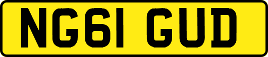 NG61GUD