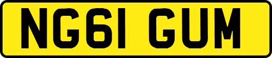 NG61GUM