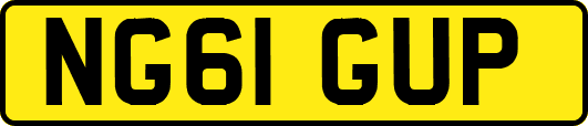 NG61GUP