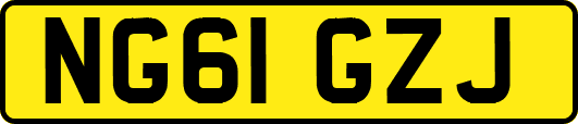NG61GZJ