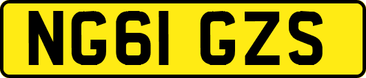 NG61GZS