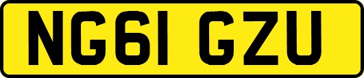 NG61GZU