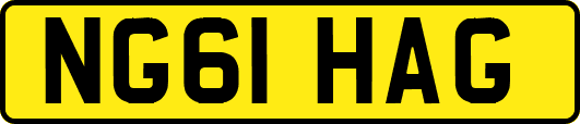 NG61HAG