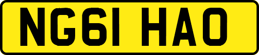 NG61HAO