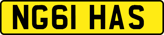 NG61HAS