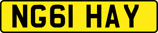 NG61HAY