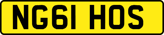 NG61HOS