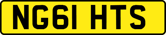 NG61HTS