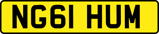 NG61HUM