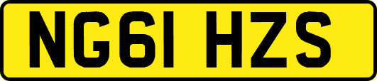 NG61HZS