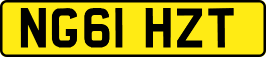 NG61HZT