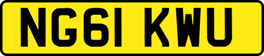 NG61KWU