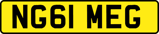 NG61MEG