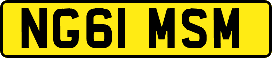 NG61MSM