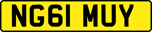 NG61MUY