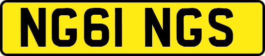 NG61NGS