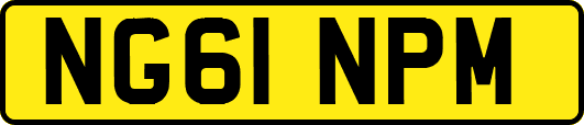NG61NPM