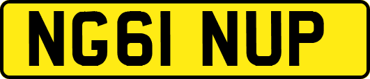 NG61NUP