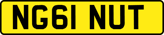 NG61NUT