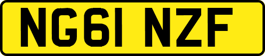 NG61NZF