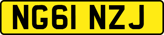 NG61NZJ