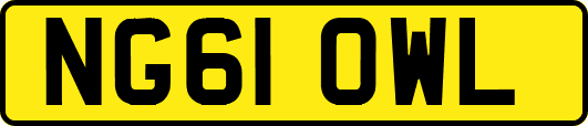 NG61OWL