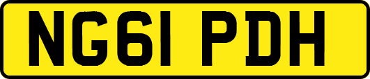 NG61PDH