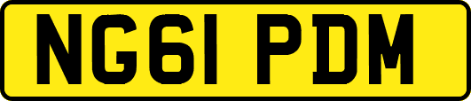 NG61PDM