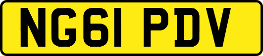 NG61PDV