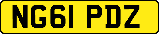 NG61PDZ