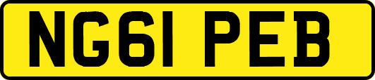 NG61PEB