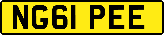 NG61PEE