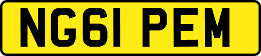 NG61PEM