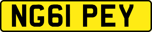 NG61PEY