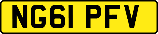 NG61PFV