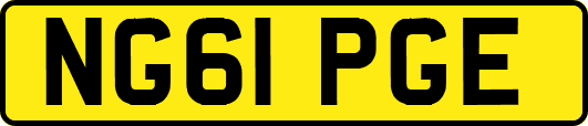 NG61PGE