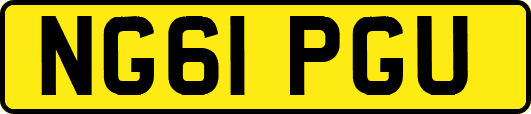 NG61PGU
