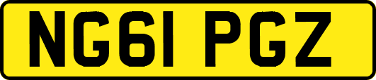 NG61PGZ