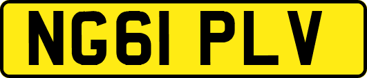 NG61PLV