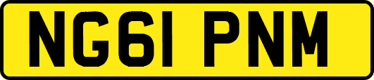 NG61PNM