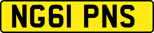 NG61PNS