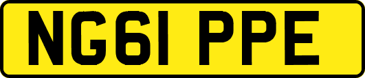 NG61PPE