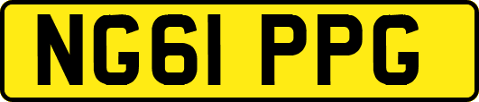 NG61PPG