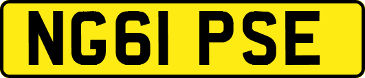 NG61PSE