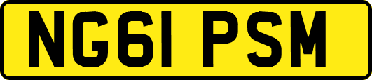 NG61PSM