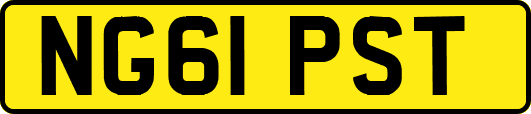 NG61PST