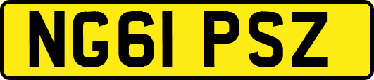 NG61PSZ