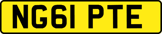 NG61PTE