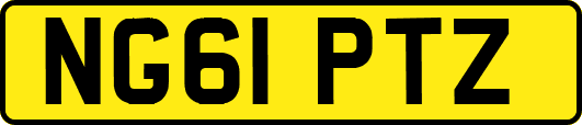 NG61PTZ